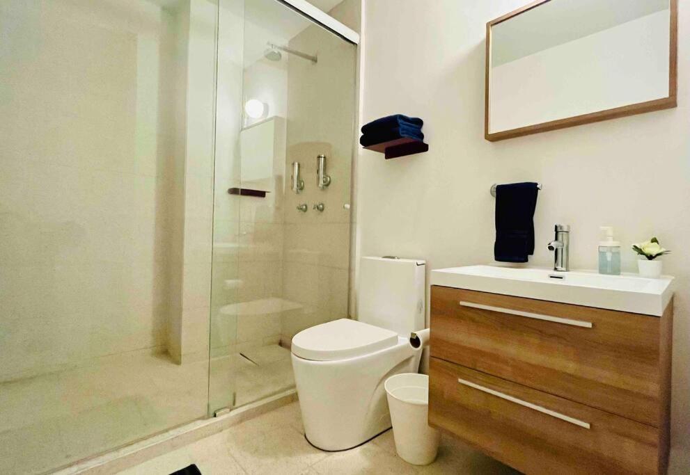 Appartamento D 111 Beautiful & Confortable Loft Centro Cdmx *